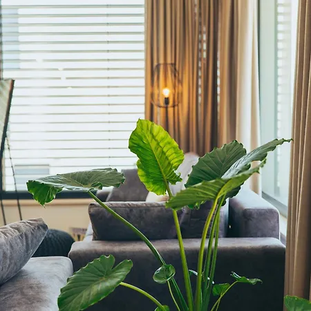 Villa Excellente Mandre