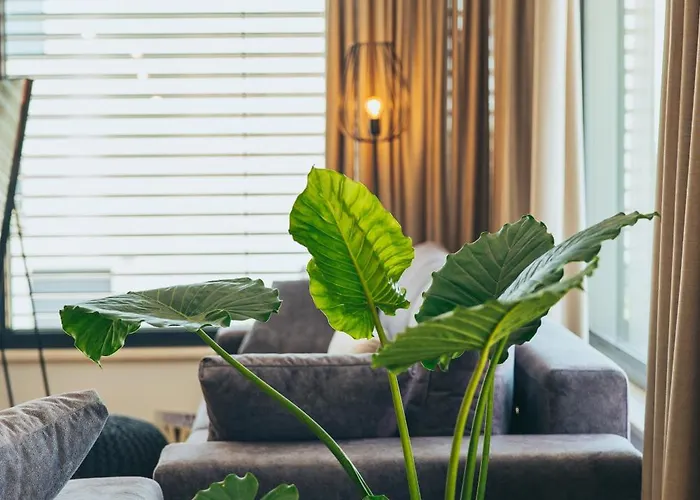 Вилла Excellente Мандре