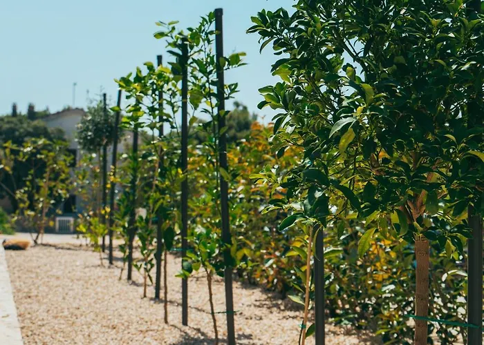 Excellente Вилла