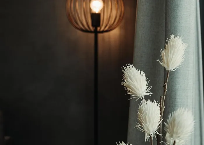 Excellente * 만드레